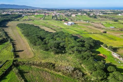Terreno Rústico com 6 Hectares | São João das Lampas e Terrugem – Sintra