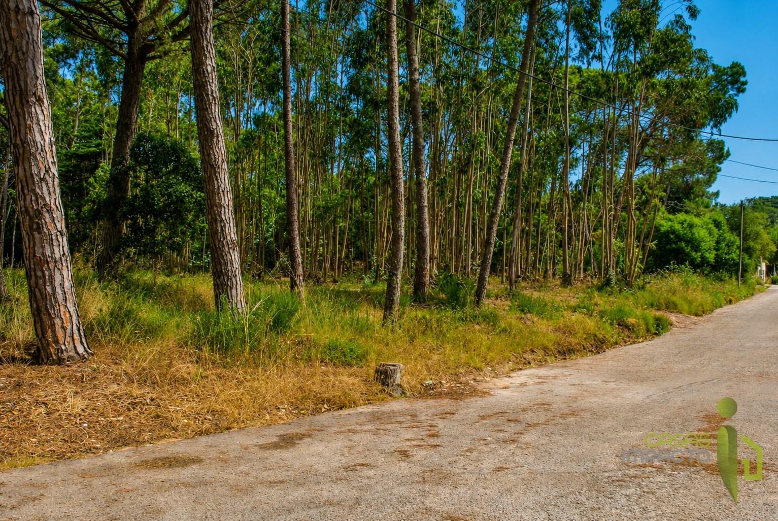 Terreno Rústico  Venda em São João das Lampas e Terrugem,Sintra
