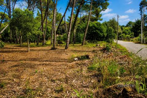 Terreno Rústico  Venda em São João das Lampas e Terrugem,Sintra