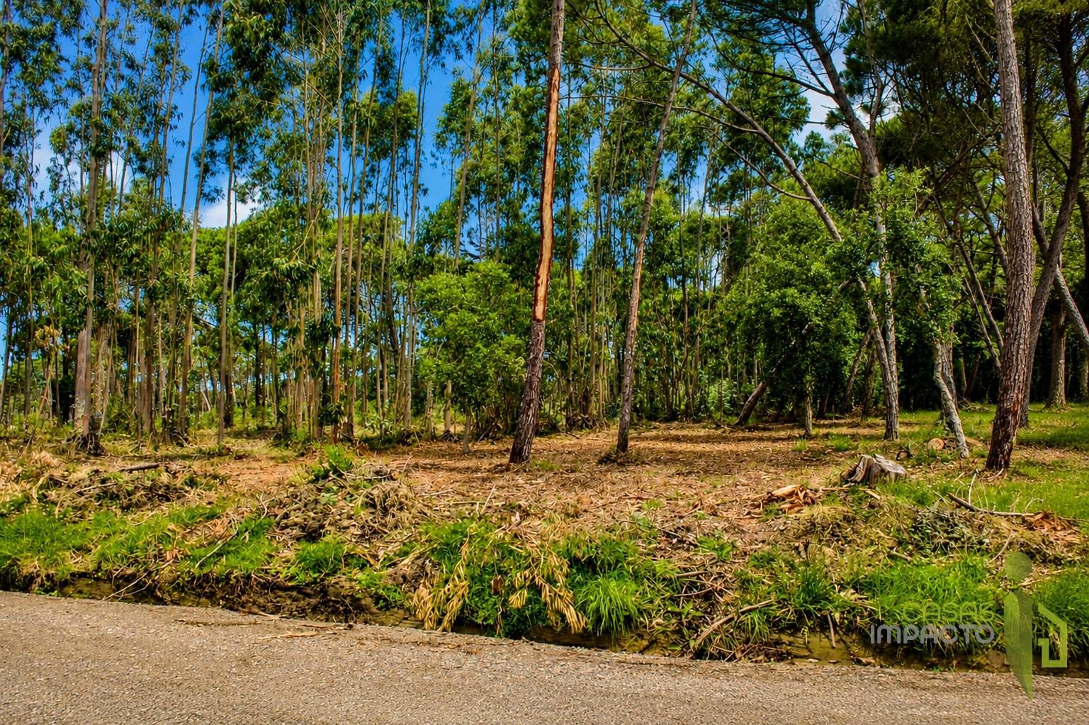 Terreno Rústico  Venda em São João das Lampas e Terrugem,Sintra
