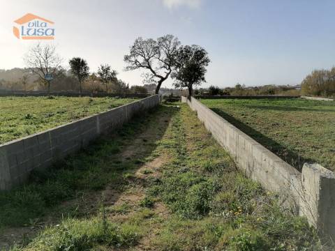 Lote em Antas