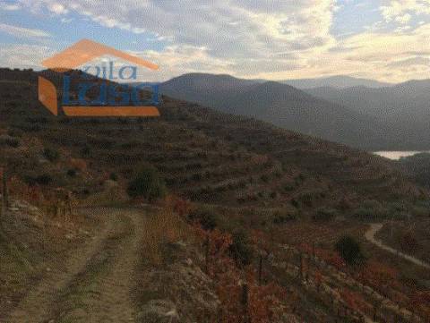 Quinta no Douro Superior 70 ha.