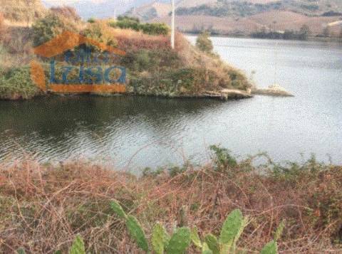 Quinta no Douro Superior 70 ha.