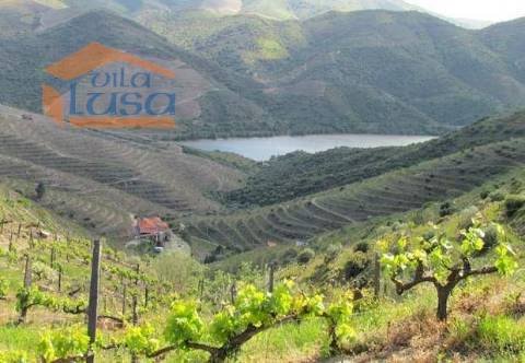 Quinta no Douro Superior 70 ha.
