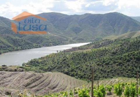 Quinta no Douro Superior 70 ha.