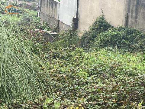 Terreno Urbano próximo à quinta das Luzes