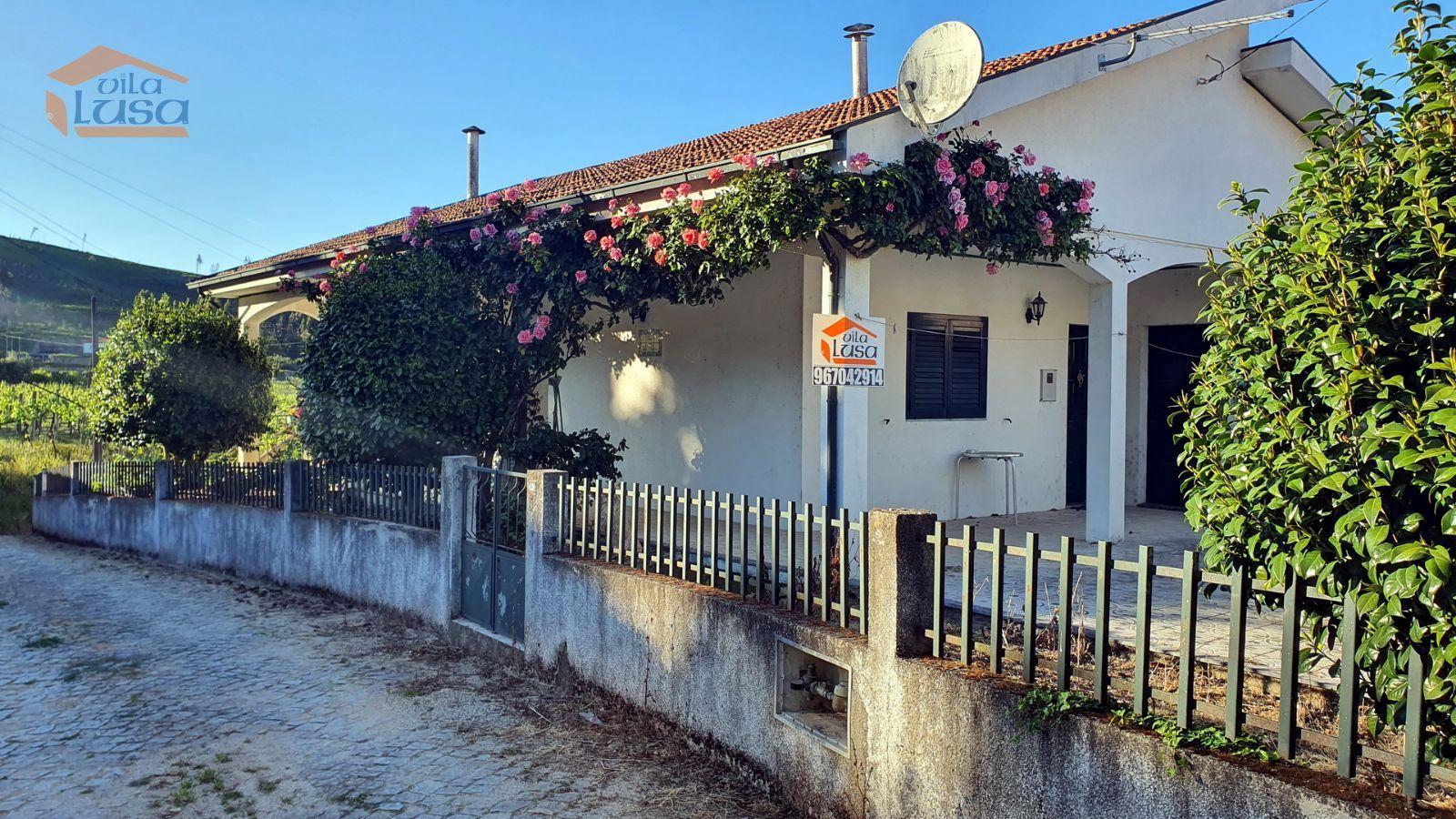 Quintinha em Amarante: Vinha, Vistas, Natureza e Acessibilidade