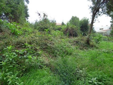 Terreno Urbano Perosinho com 400 m² para Construção de Moradia de 3 Frentes..