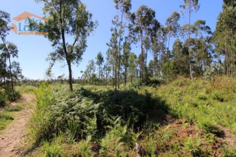 Terreno Industrial com 7400 m2 para a construção de armazém