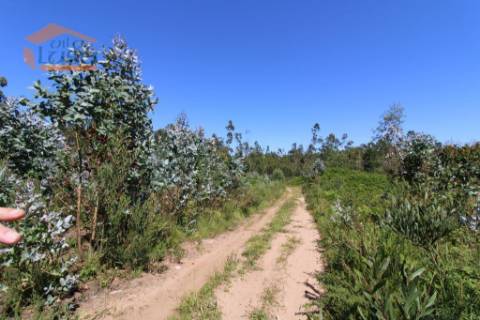 Terreno Industrial com 7400 m2 para a construção de armazém
