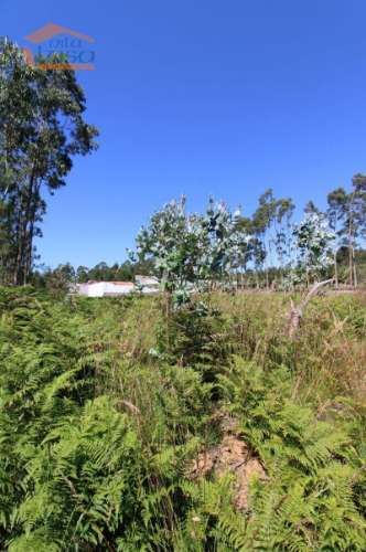 Terreno Industrial com 7400 m2 para a construção de armazém