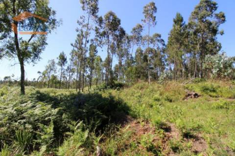 Terreno Industrial com 7400 m2 para a construção de armazém