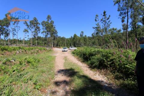 Terreno Industrial com 7400 m2 para a construção de armazém
