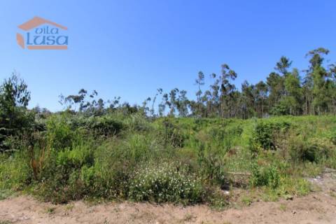 Terreno Industrial com 7400 m2 para a construção de armazém