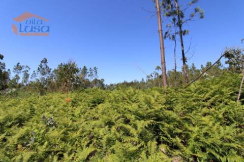 Terreno Industrial com 7400 m2 para a construção de armazém