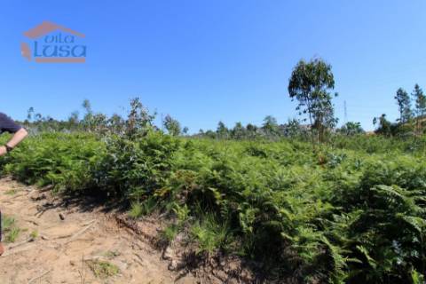 Terreno Industrial com 7400 m2 para a construção de armazém