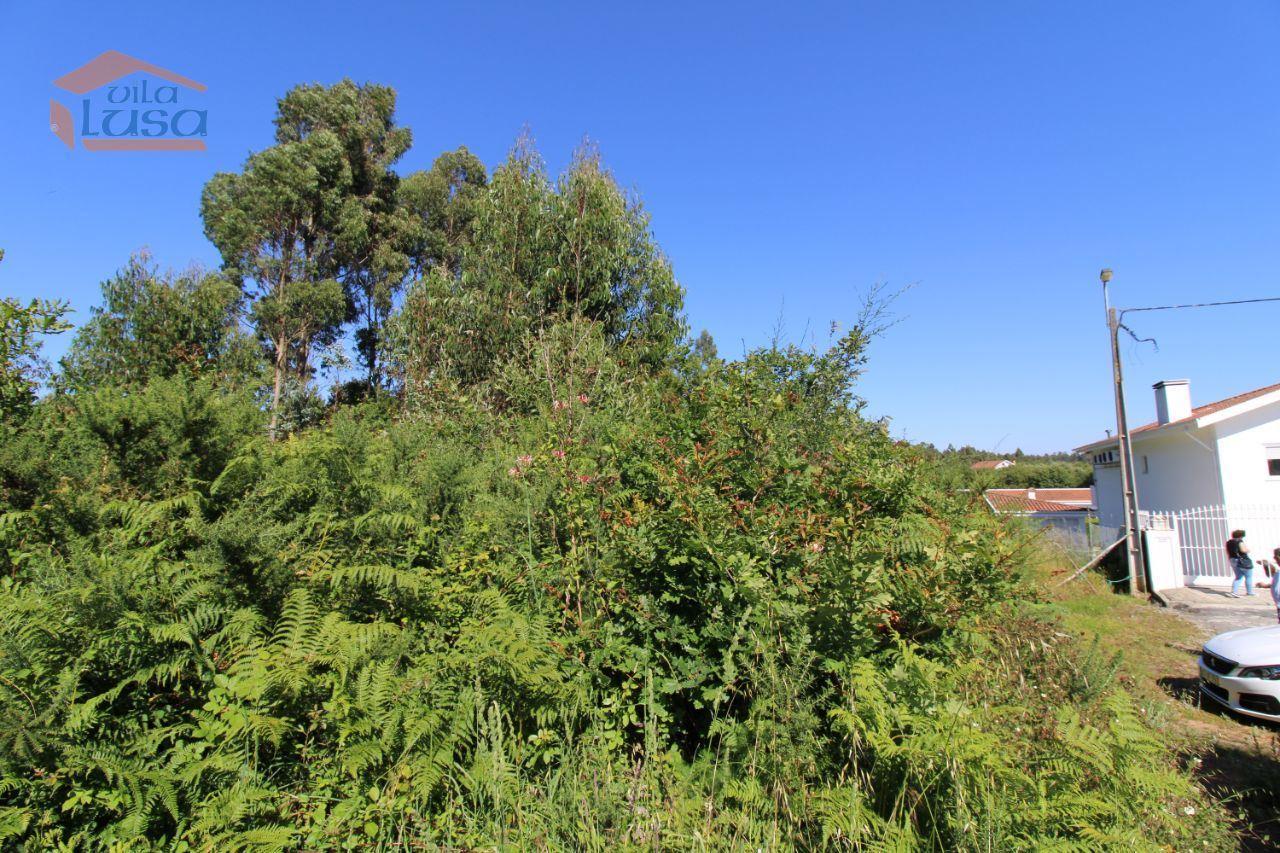 Terreno Industrial com 13.000 m2 para a construção de armazém