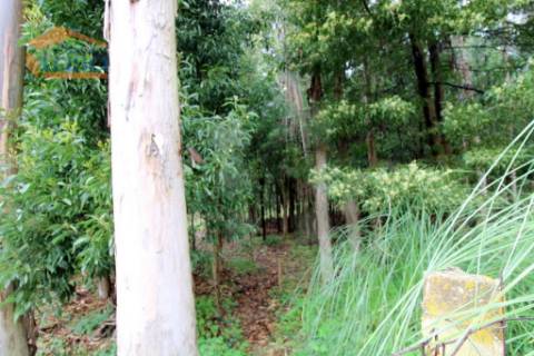 Terreno em Rio Meão Zona Industrial com 2.000 m2 