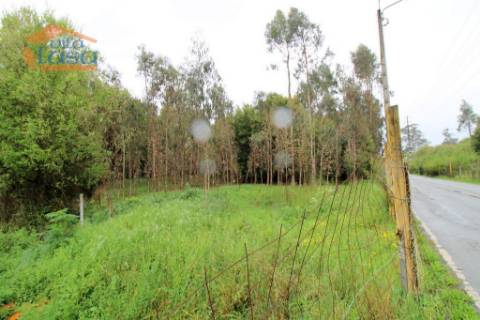 Terreno em Rio Meão Zona Industrial com 2.000 m2 