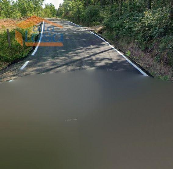 Pinhal em Fial, freguesia de Mundão