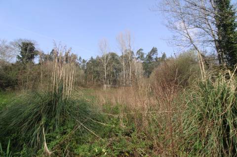 Terreno Agrícola com 1340 m² | Olival