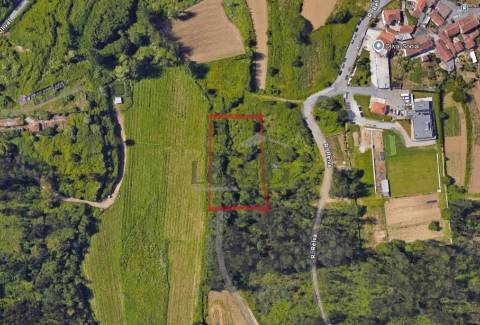 Terreno Agrícola com 1340 m² | Olival