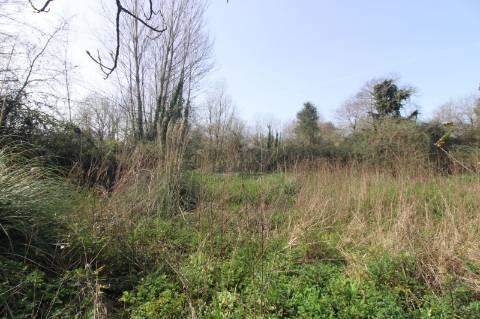 Terreno Agrícola com 1340 m² | Olival