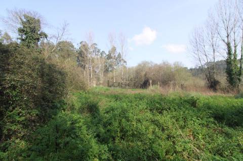 Terreno Agrícola com 1340 m² | Olival