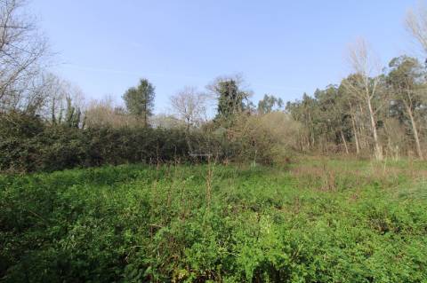 Terreno Agrícola com 1340 m² | Olival
