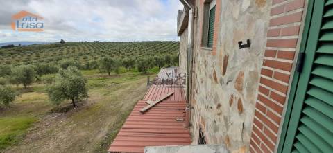 Quinta Mirandela com 12 hectares próxima do Rio Tua