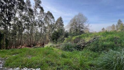 Terreno rústico com 24450m2 em Olival, Vila Nova de Gaia.