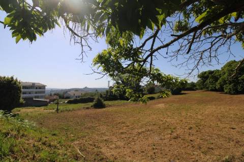 Terreno com 7.813 m² no Centro de Oliveira do Douro | Vila Nova de Gaia