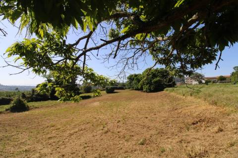Terreno com 7.813 m² no Centro de Oliveira do Douro | Vila Nova de Gaia