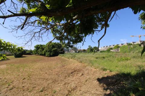 Terreno com 7.813 m² no Centro de Oliveira do Douro | Vila Nova de Gaia