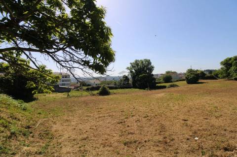Terreno com 7.813 m² no Centro de Oliveira do Douro | Vila Nova de Gaia
