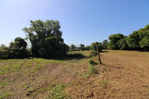 Terreno com 7.813 m² no Centro de Oliveira do Douro | Vila Nova de Gaia