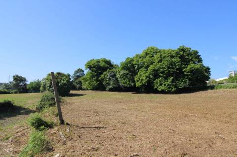 Terreno com 7.813 m² no Centro de Oliveira do Douro | Vila Nova de Gaia
