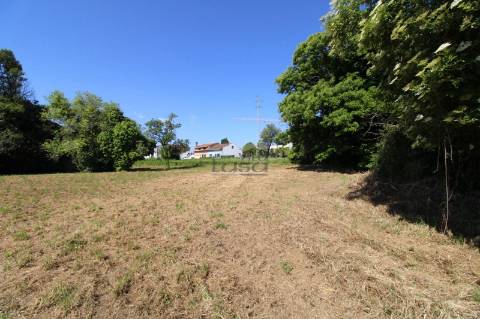 Terreno com 7.813 m² no Centro de Oliveira do Douro | Vila Nova de Gaia