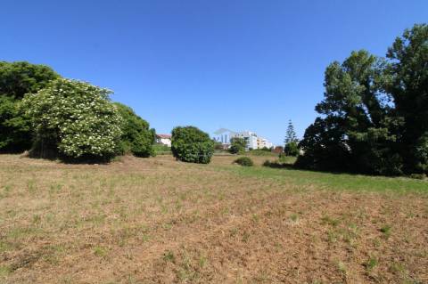 Terreno com 7.813 m² no Centro de Oliveira do Douro | Vila Nova de Gaia