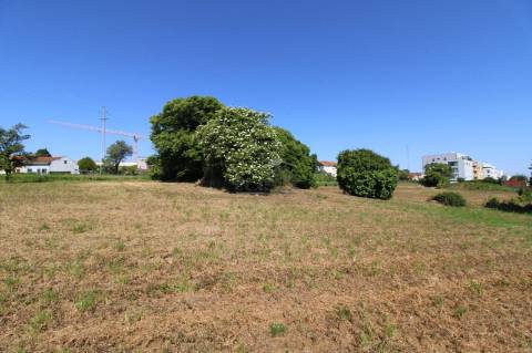 Terreno com 7.813 m² no Centro de Oliveira do Douro | Vila Nova de Gaia