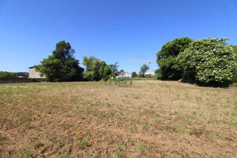 Terreno com 7.813 m² no Centro de Oliveira do Douro | Vila Nova de Gaia