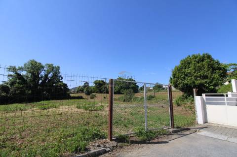 Terreno com 7.813 m² no Centro de Oliveira do Douro | Vila Nova de Gaia