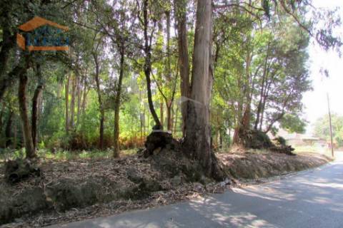 Terreno Grijo, para a contrução de Moradia de 4 frentes
