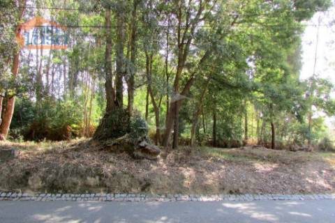 Terreno Grijo, para a contrução de Moradia de 4 frentes
