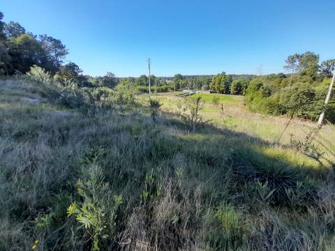 Terreno  Venda em Moledo e Cristelo,Caminha