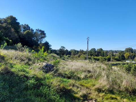 Terreno  Venda em Moledo e Cristelo,Caminha