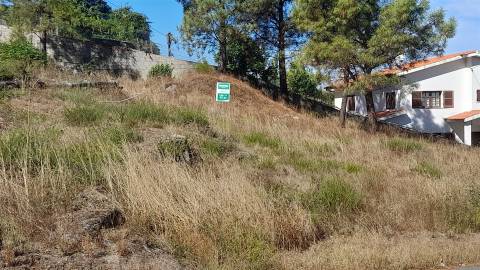Terreno Para construção - Seixas