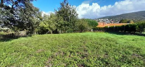 Terreno  Venda em Venade e Azevedo,Caminha