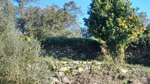 Terreno Urbano  Venda em Dem,Caminha