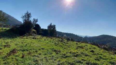 Terreno Urbano  Venda em Dem,Caminha